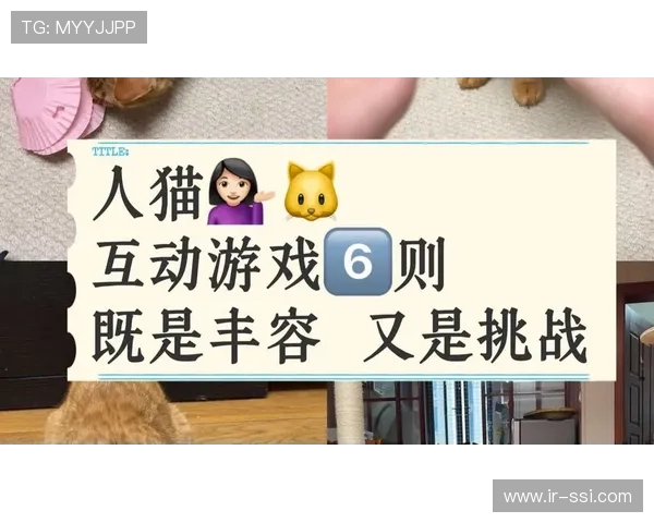 陪伴系治愈小游戏让你化身猫猫或狗狗在温馨世界中放松解压